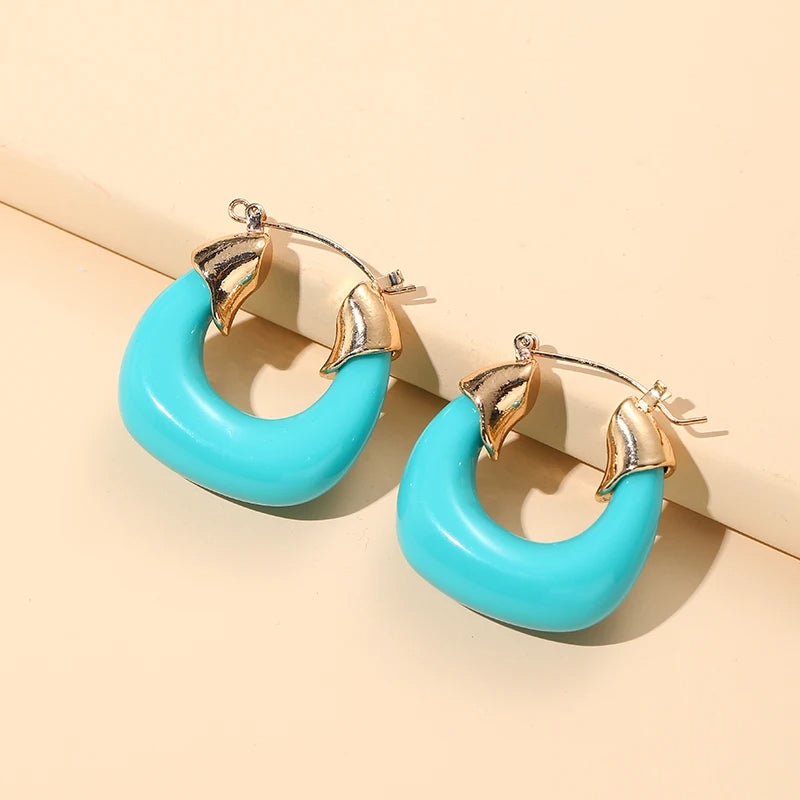 Lucite Chunky Hoops