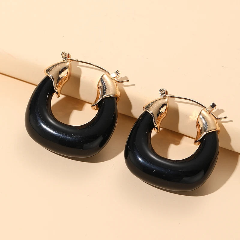 Lucite Chunky Hoops