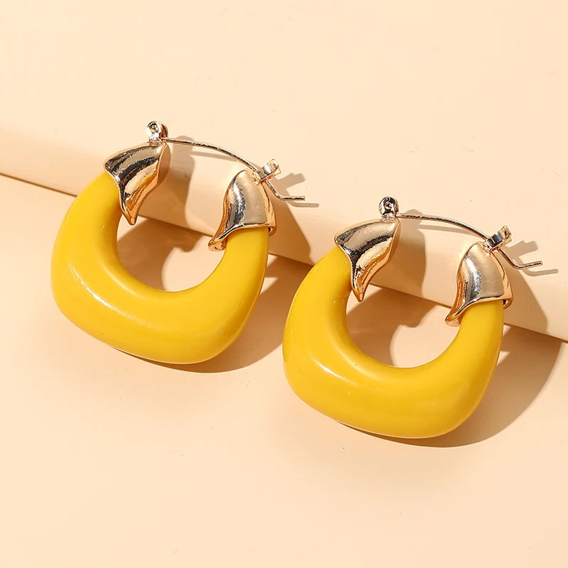 Lucite Chunky Hoops