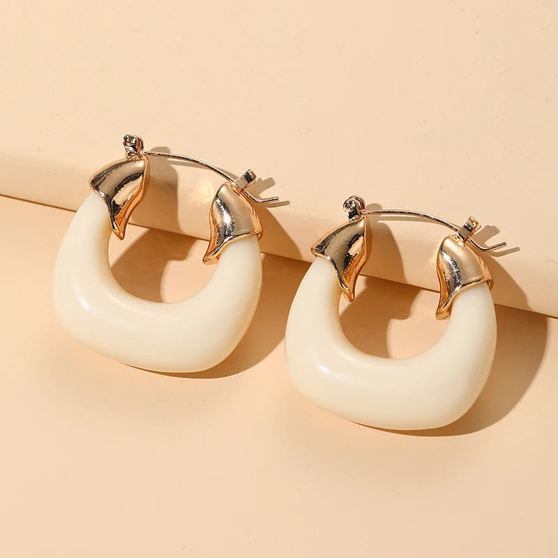 Lucite Chunky Hoops